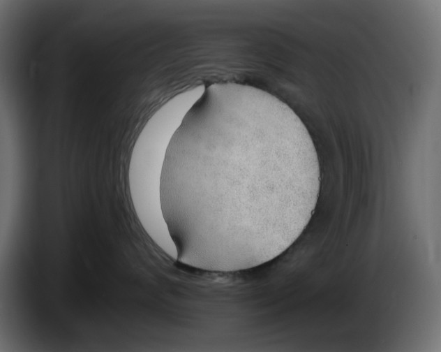 X0000083550624200703021652