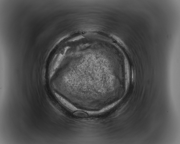 X0000083550627200703021652