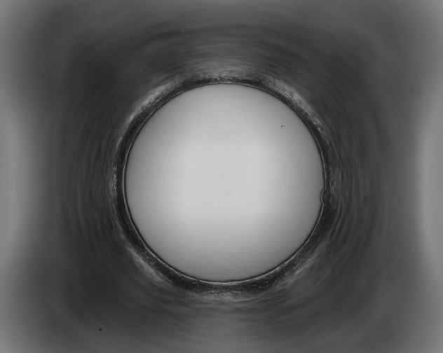 X0000083550629200703021652