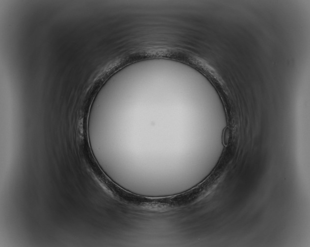 X0000083550633200703021652