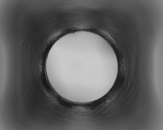 X0000083550635200703021652