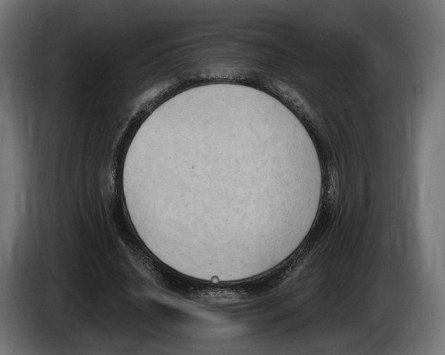 X0000083550636200703021652
