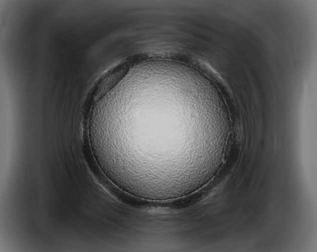 X0000083550637200703021652