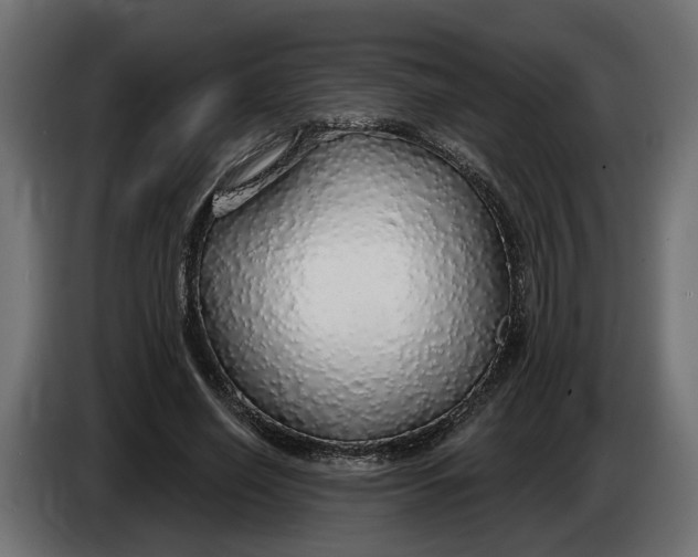 X0000083550638200703021652