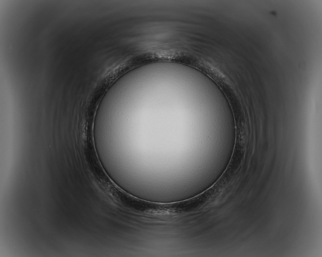 X0000083550639200703021652