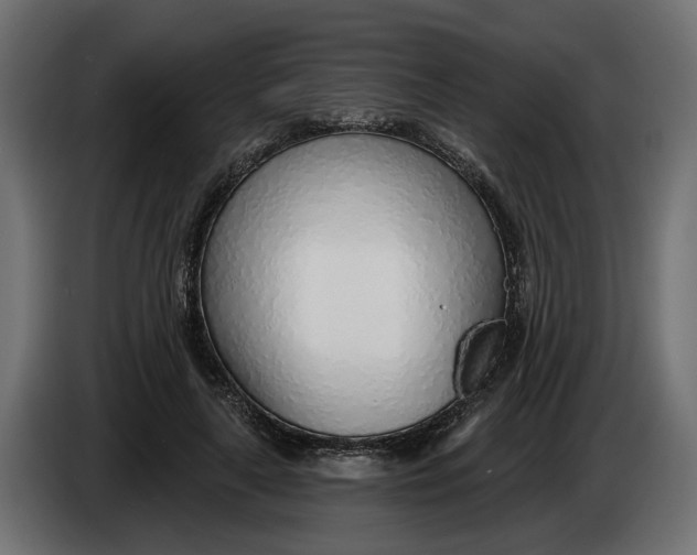 X0000083550643200703021652