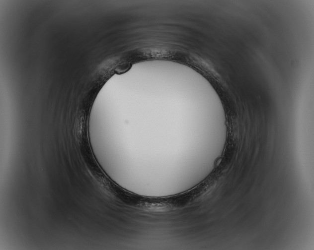 X0000083550645200703021652