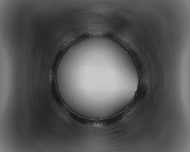 X0000083550647200703021652