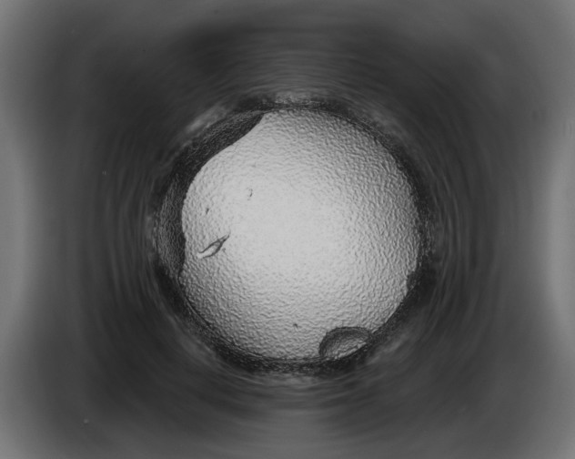 X0000083550648200703021652