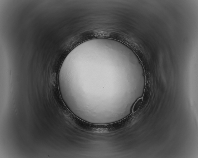 X0000083550649200703021652