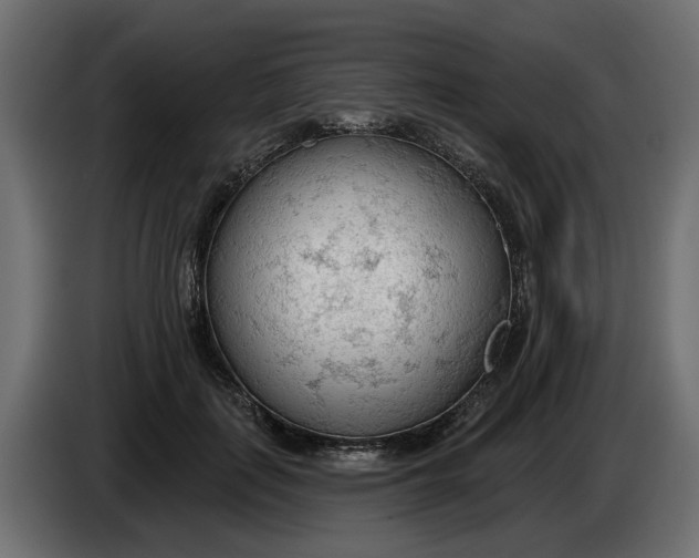 X0000083550651200703021652