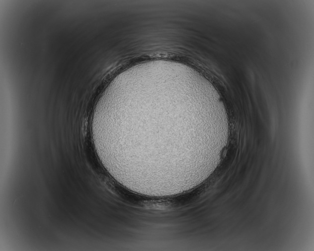 X0000083550652200703021652