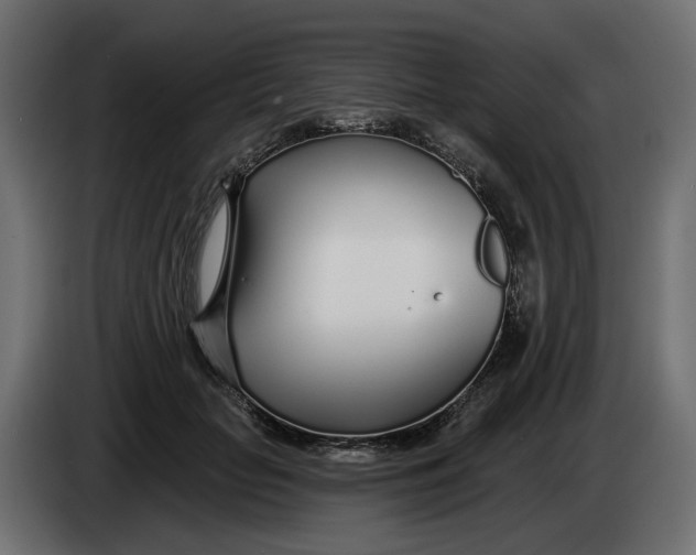 X0000083550653200703021652