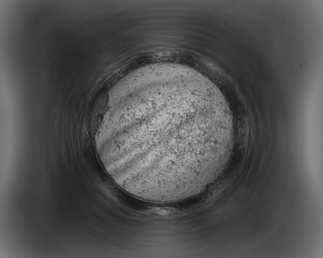X0000083550654200703021652