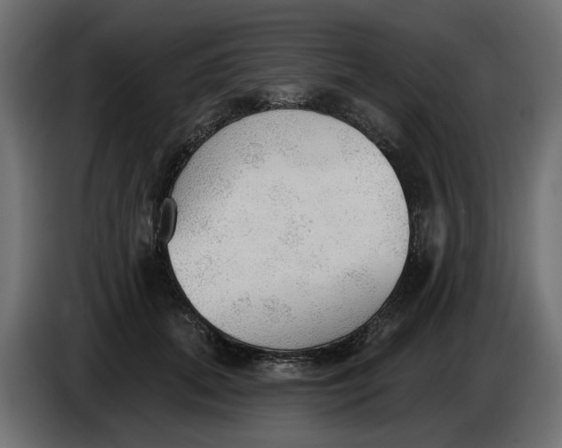 X0000083550655200703021652