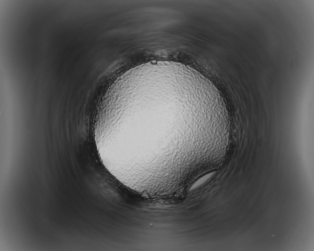 X0000083550656200703021652