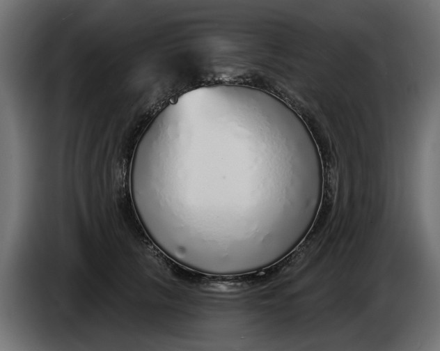 X0000083550657200703021652