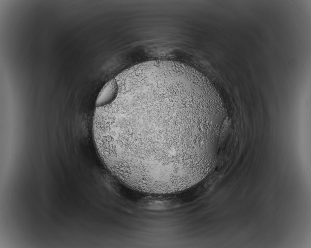 X0000083550658200703021652
