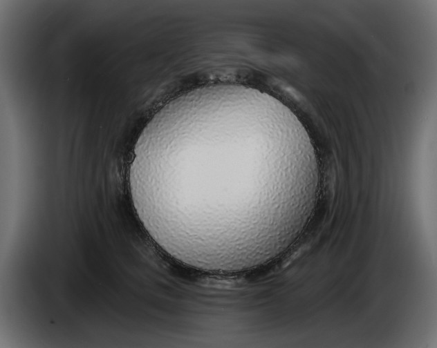 X0000083550661200703021652