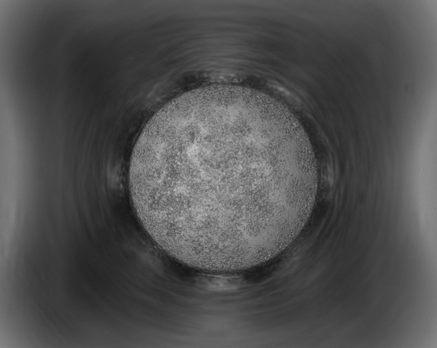 X0000083550663200703021652