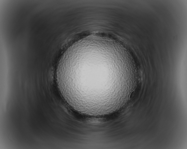 X0000083550664200703021652
