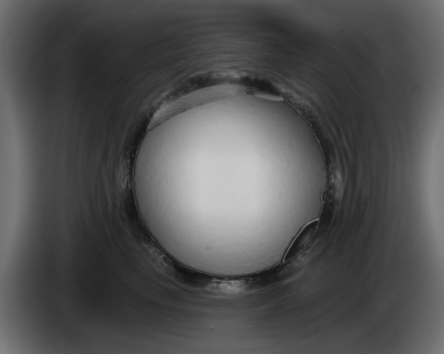 X0000083550665200703021652