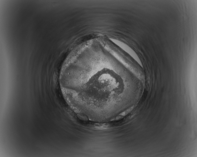 X0000083550667200703021652