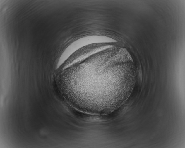X0000083550668200703021652
