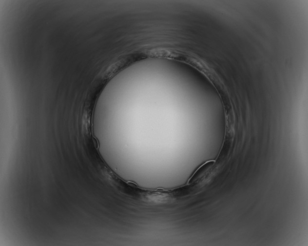 X0000083550669200703021652