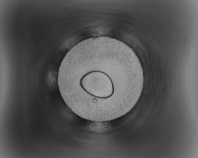 X0000083550672200703021652