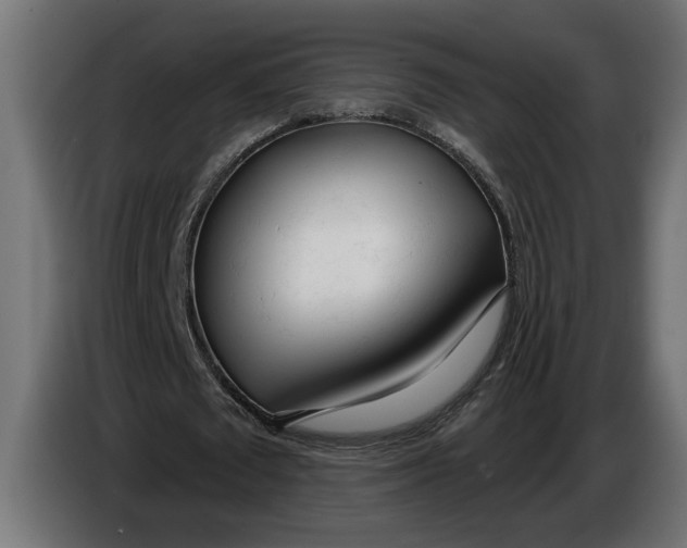 X0000083550673200703021652