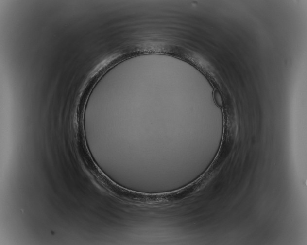 X0000083550674200703021652