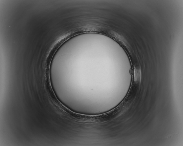 X0000083550675200703021651