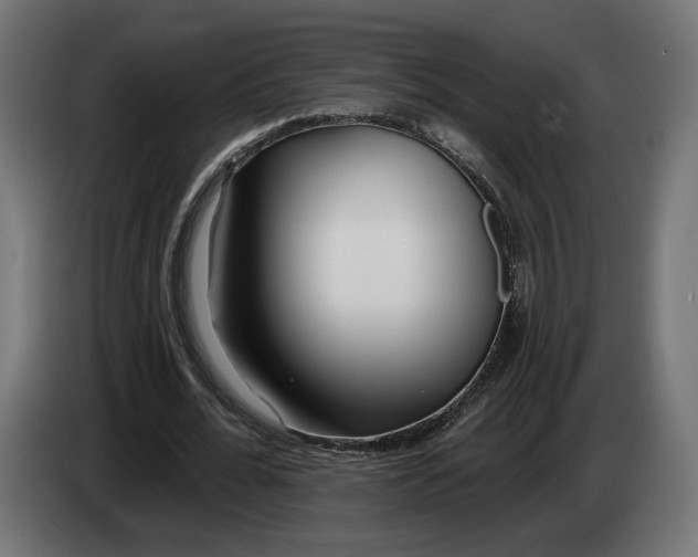X0000083550676200703021651