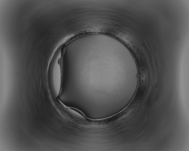 X0000083550678200703021651