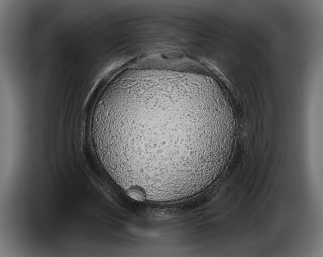 X0000083550679200703021651