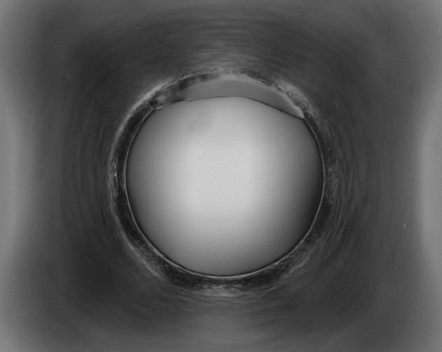 X0000083550680200703021651