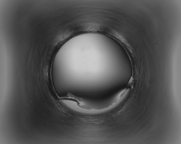 X0000083550681200703021651