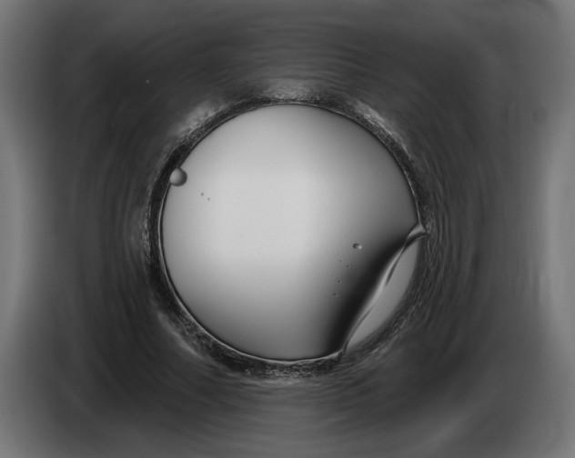 X0000083550682200703021651