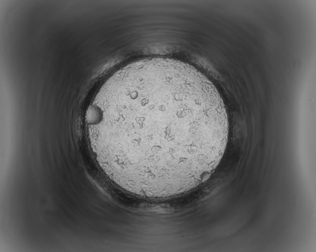 X0000083550683200703021651