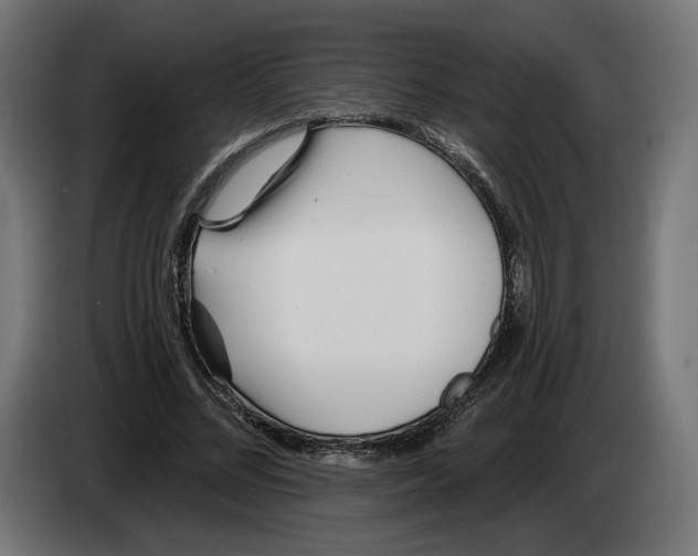 X0000083550684200703021651