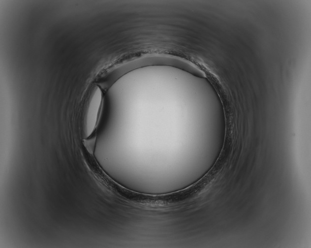 X0000083550685200703021651