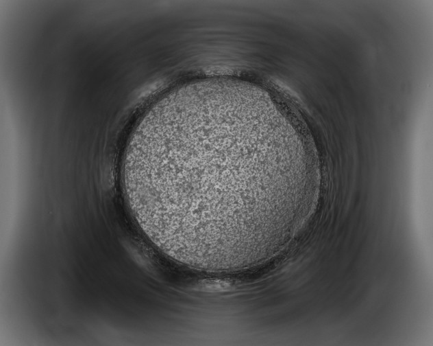 X0000083550687200703021651