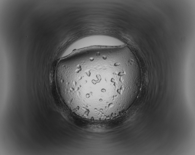 X0000083550691200703021651