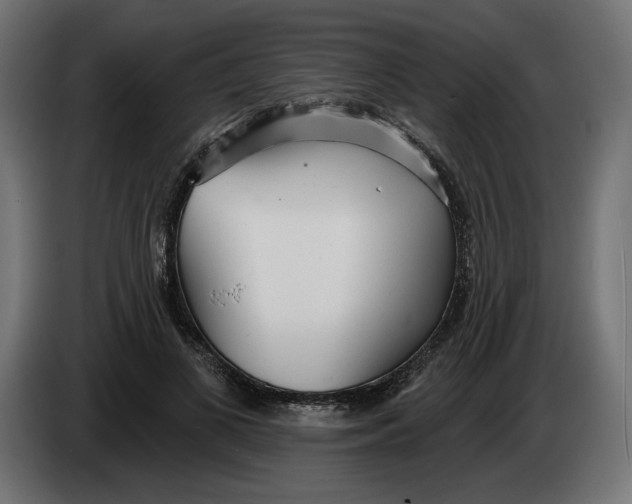 X0000083550693200703021651