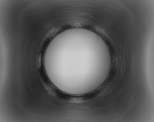 X0000083550694200703021651