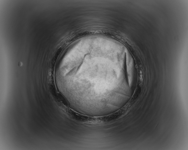 X0000083550696200703021651