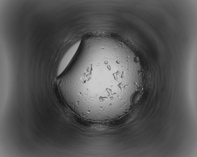 X0000083550699200703021651