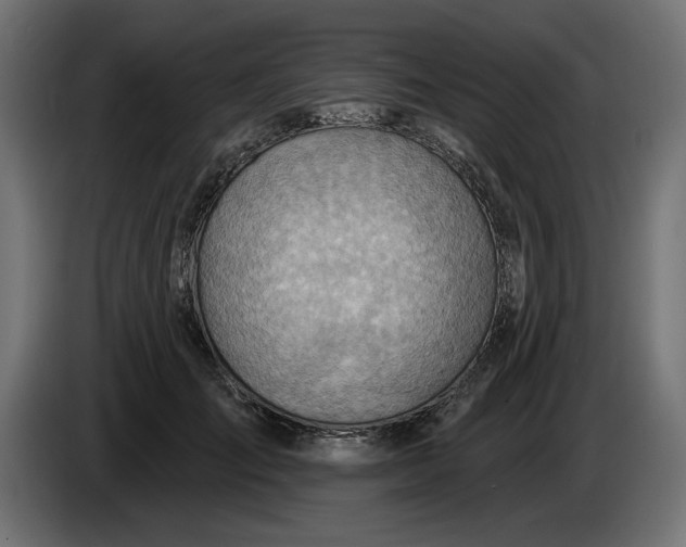 X0000083550701200703021651