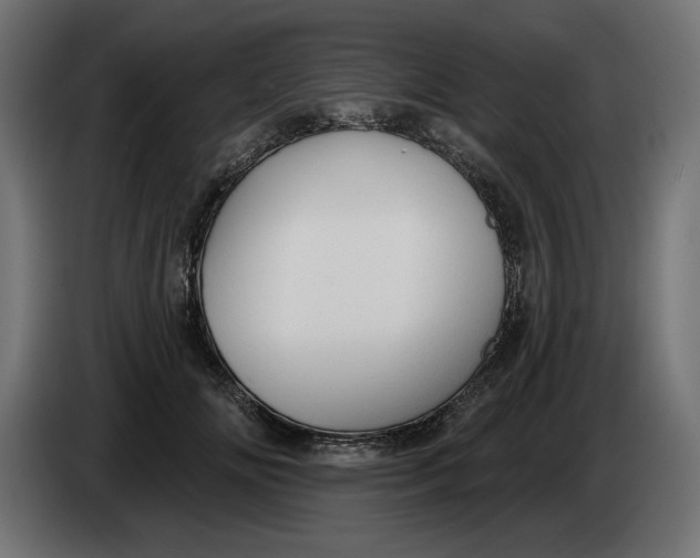 X0000083550702200703021651